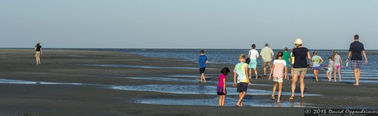 Capers Island State Heritage Preserve