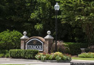 Foxmoor at Park West - Mount Pleasant Real Estate