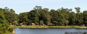 Charleston - Mt. Pleasant KOA Campground on Oakland Plantation