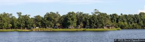 Charleston - Mt. Pleasant KOA Campground on Oakland Plantation