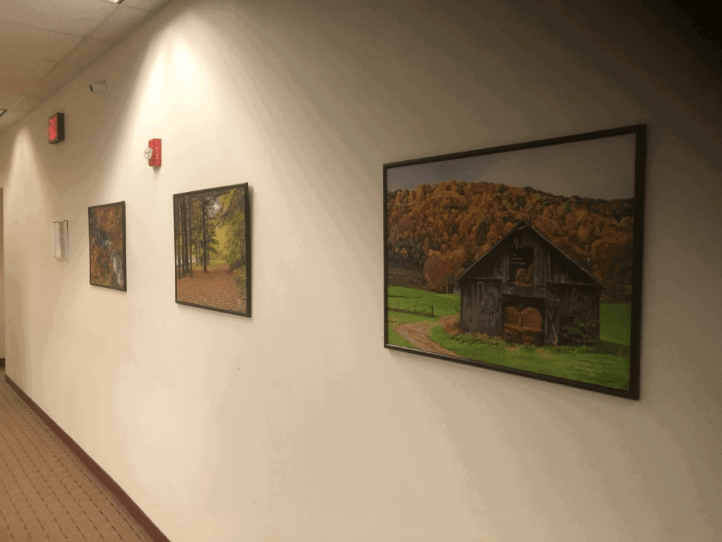 wall art in Saratoga County Department of Mental Health and Addiction Services, NY