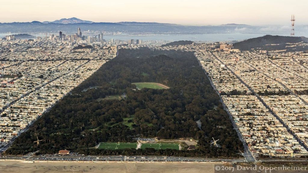 professional aerial photo of golden gate park in san francisco
