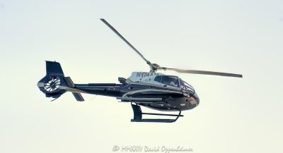 Airbus Helicopters, Airbus, H130, Airbus H130, Eurocopter EC130, Eurocopter, N174AM, helicopter, flight, fly, turbine, Greenwich, Florida Jet Service, color, horizontal, United States, 1-13439195601,