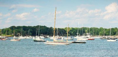 Larchmont Harbor, sailboats, sailing, yachts, Edgewater, Edgewater Point, Greacen Point, harbor, boats, boating, East Creek, Larchmont Yacht Club, yacht club, yachting, Cedar Island, South Ledge, Larchmont Manor Park, Manor Park, Larchmont Manor, manor, Larchmont, 10538, park, waterfront, waterfront park, rocks, shore, summer, summering, Long Island Sound, New York, Westchester County, Village of Larchmont, Westchester, art, artwork, painting, realism, shoreline, coast, United States, horizontal, color, 1-13439195601,