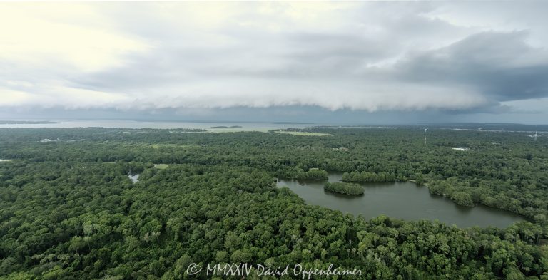 Fish Island Sea Pines Forest Preserve with Lake Mary, Rookery Island, Rookery Point, and Fisherman’s Point on Hilton Head Island in South Carolina with a shelf cloud storm on the horizon aerial view - © 2024 David Oppenheimer - Performance Impressions aerial photography archives - https://performanceimpressions.com Fish Island Sea Pines Forest Preserve, Sea Pines Forest Preserve, Sea Pines Plantation, Sea Pines Plantation aerial, Fish Island Sea Pines Forest Preserve aerial, Fish Island Hilton Head, Hilton Head Island, forest, coastal forest, preserve, Lake Mary, lake, Rookery Island, Rookery Point, Fisherman’s Point, ante-bellum, ante-bellum rice dikes, forest preserve, Sea Pines, swamp, trees, Vanishing Swamp, White Ibis Swamp, ecosystem, Lake Joe, Fish Island, habitat, wildlife habitat, ecology, nature, wetlands, fresh water, coastal, Indian Shell Ring, Rice Field Boardwalk, 29928, real estate, Hilton Head aerial, Hilton Head Island aerial, storm, weather, shelf cloud, cloud, clouds, storm, storm clouds, front, thunderclouds, thunderstorm, nephology, weather front, meteorology, community, aerial photographer, aerial photography, landscape, panorama, naturescape, aerial view, aerial, David Oppenheimer, David Gordon Oppenheimer, United States, color, horizontal, landscape, 1-13726821381