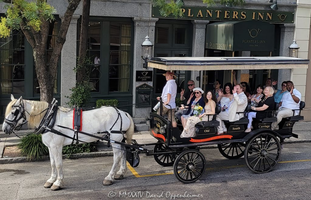 Horse-drawn carriage for a wedding at the Planters Inn in Charleston, South Carolina - © 2024 David Oppenheimer - Performance Impressions photography archives - https://performanceimpressions.com horse-drawn carriage, horse & buggy, carriage, wedding, Planters Inn, historic, old fashioned, horse & carriage, ride, historic district, downtown, weddings, 112 N Market St, Charleston, SC, 29401, inn, Charlestowne Hotels, architecture, building, hotel, resort, luxury, weddings, Charleston, South Carolina, David Oppenheimer, David Gordon Oppenheimer, United States, horizontal, color, 1-13726821381,