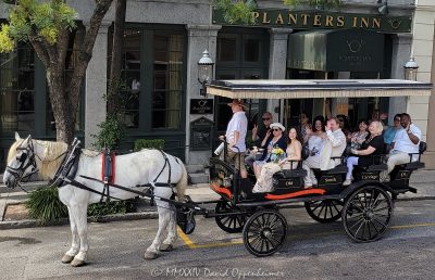 Horse-drawn carriage for a wedding at the Planters Inn in Charleston, South Carolina - © 2024 David Oppenheimer - Performance Impressions photography archives - https://performanceimpressions.com horse-drawn carriage, horse & buggy, carriage, wedding, Planters Inn, historic, old fashioned, horse & carriage, ride, historic district, downtown, weddings, 112 N Market St, Charleston, SC, 29401, inn, Charlestowne Hotels, architecture, building, hotel, resort, luxury, weddings, Charleston, South Carolina, David Oppenheimer, David Gordon Oppenheimer, United States, horizontal, color, 1-13726821381,