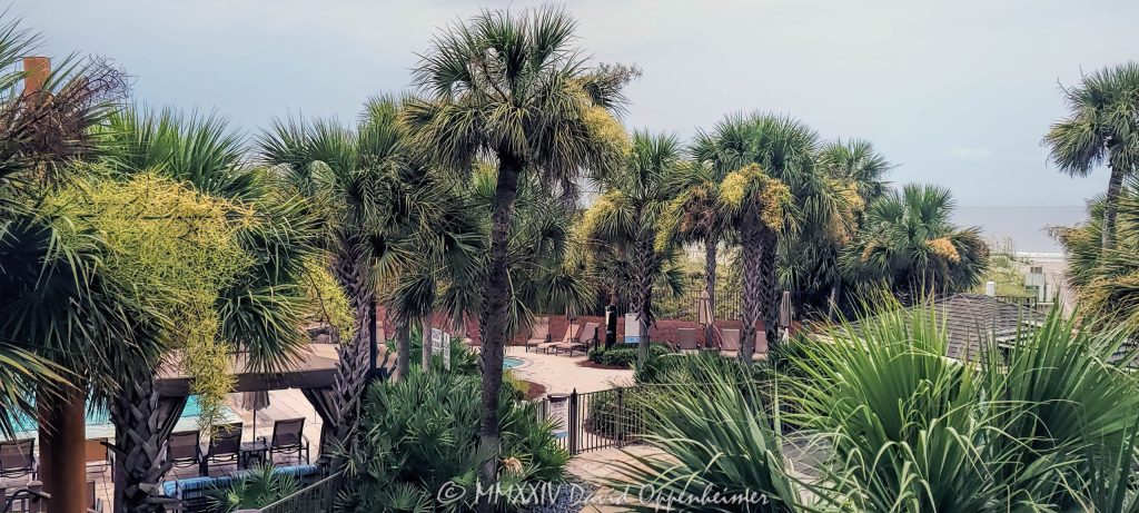 Omni Hilton Head Oceanfront Resort at 23 Ocean Lane on Hilton Head Island, South Carolina - © 2024 David Oppenheimer - Performance Impressions photography archives - https://performanceimpressions.com Omni Hilton Head Oceanfront Resort, Omni, Omni Hilton Head, Omni Hotels, Omni Hotels, Omni Hotels & Resorts, TRT Holdings, Palmetto Dunes Oceanfront Resort Community, 23 Ocean Ln, resort, hotel, oceanfront resort, pool, pools, spa, boutique, golf, golf courses, beach, beachfront, oceanfront, beach access, Bass Head, Bass Head beach, dunes, vacation, Hilton Head, Hilton Head Island, Town of Hilton Head, South Carolina, Lowcountry, Hilton head island real estate, Hilton Head real estate, real estate, palm trees, tropical, vacation, building, architecture, 29928, David Oppenheimer, David Gordon Oppenheimer, United States, color, horizontal, 1-13726821381,