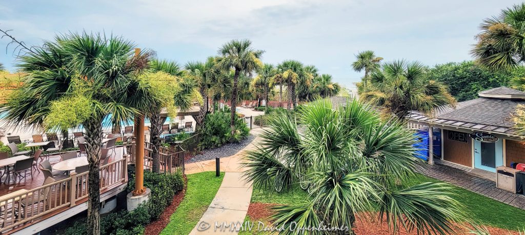 Omni Hilton Head Oceanfront Resort at 23 Ocean Lane on Hilton Head Island, South Carolina - © 2024 David Oppenheimer - Performance Impressions photography archives - https://performanceimpressions.com Omni Hilton Head Oceanfront Resort, Omni, Omni Hilton Head, Omni Hotels, Omni Hotels, Omni Hotels & Resorts, TRT Holdings, Palmetto Dunes Oceanfront Resort Community, 23 Ocean Ln, resort, hotel, oceanfront resort, pool, pools, spa, boutique, golf, golf courses, beach, beachfront, oceanfront, beach access, Bass Head, Bass Head beach, dunes, vacation, Hilton Head, Hilton Head Island, Town of Hilton Head, South Carolina, Lowcountry, Hilton head island real estate, Hilton Head real estate, real estate, palm trees, tropical, vacation, building, architecture, 29928, David Oppenheimer, David Gordon Oppenheimer, United States, color, horizontal, 1-13726821381,