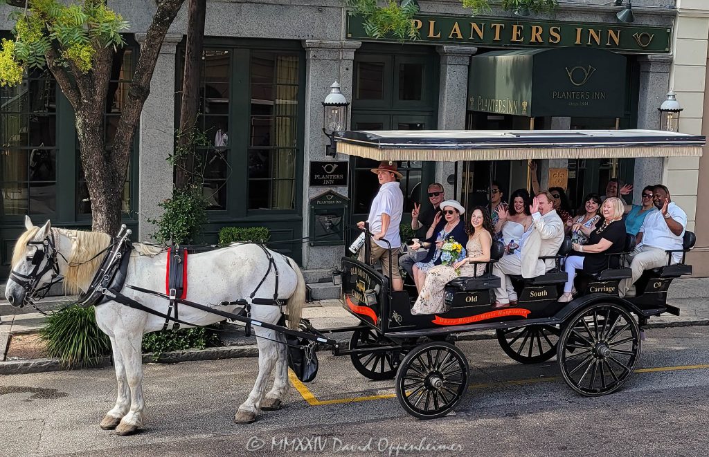 Horse-drawn carriage for a wedding at the Planters Inn in Charleston, South Carolina - © 2024 David Oppenheimer - Performance Impressions photography archives - https://performanceimpressions.com horse-drawn carriage, horse & buggy, carriage, wedding, Planters Inn, historic, old fashioned, horse & carriage, ride, historic district, downtown, weddings, 112 N Market St, Charleston, SC, 29401, inn, Charlestowne Hotels, architecture, building, hotel, resort, luxury, weddings, Charleston, South Carolina, David Oppenheimer, David Gordon Oppenheimer, United States, horizontal, color, 1-13726821381,