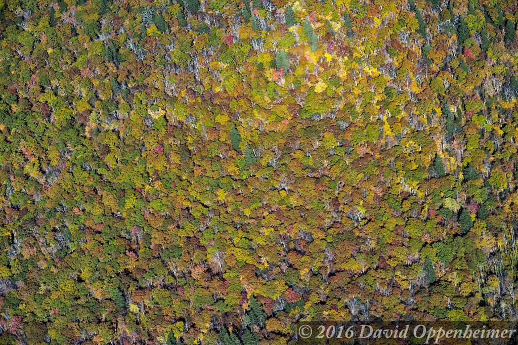 Blue Ridge Parkway Fall Colors Aerial