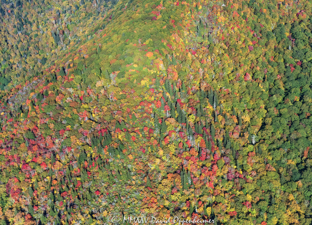 Blue Ridge Parkway Vibrant Fall Colors at Fork River Bald Aerial View