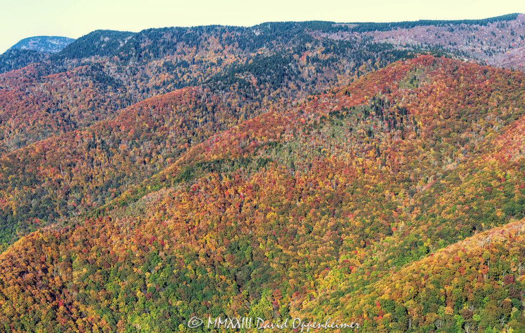 Blue Ridge Parkway by Fork River Bald and Black Balsam Knob with Autumn Colors in the mountains Western North Carolina Aerial View