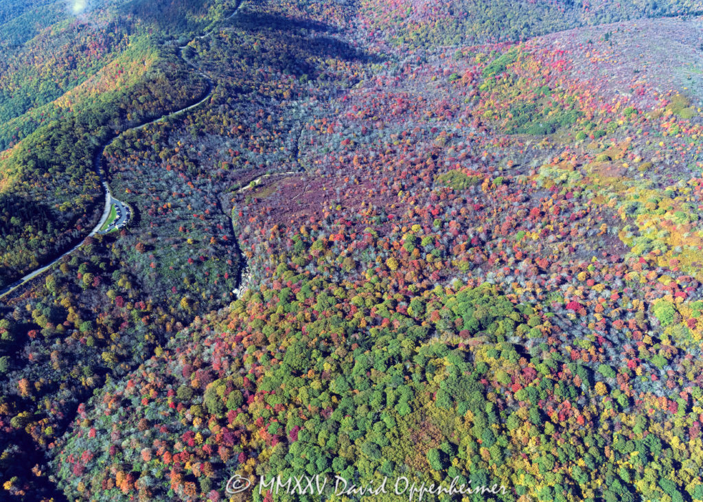 Blue Ridge Parkway Graveyards Fields with Peak Autumn Color Aerial View
