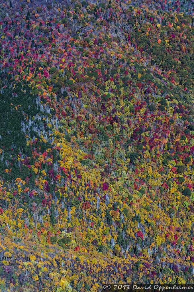 Autumn Colors Along The Blue Ridge Parkway in Western North Carolina