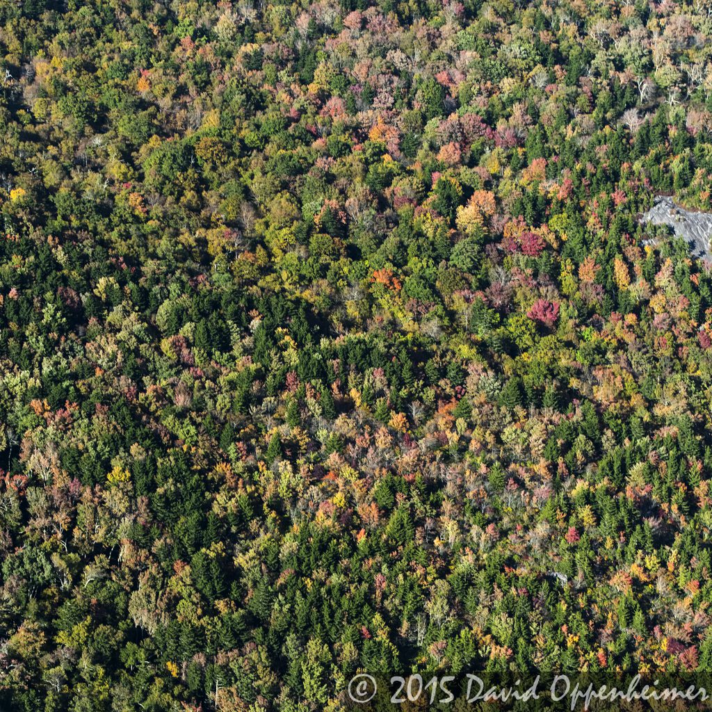 Aerial Photo of Fall Colors on the Blue Ridge Parkway