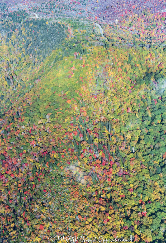 Blue Ridge Parkway Vibrant Fall Colors at Fork River Bald Aerial View