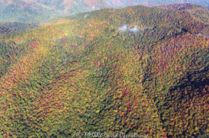 Blue Ridge Parkway autumn colors Poundingmill Branch 7008 1