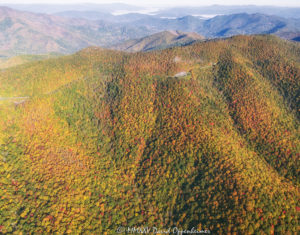 Blue Ridge Parkway autumn colors aerial view Pink Beds Overlook 6948 1