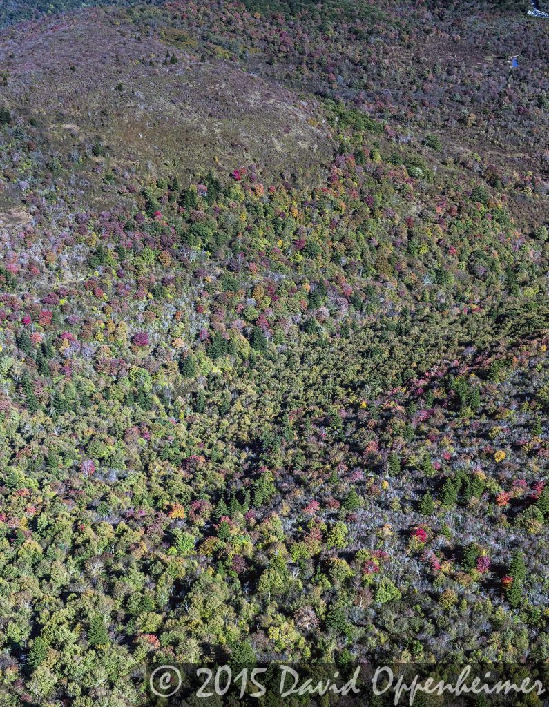 Aerial Photo of Fall Colors on the Blue Ridge Parkway