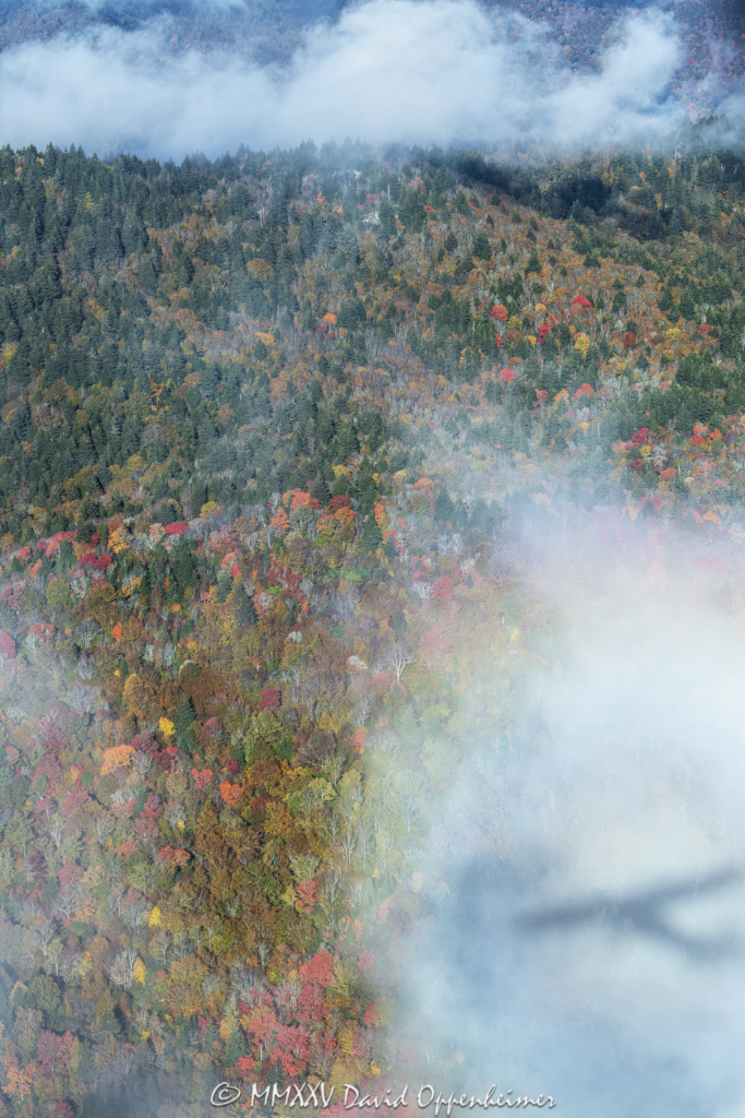 Morning Fog with Brocken Spectre over Middle Prong Wilderness by the Blue Ridge Parkway