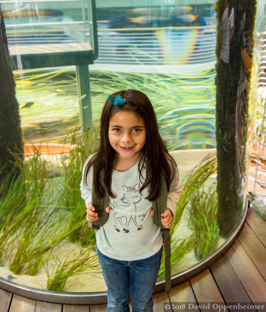 California Academy of Sciences in San Francisco, California