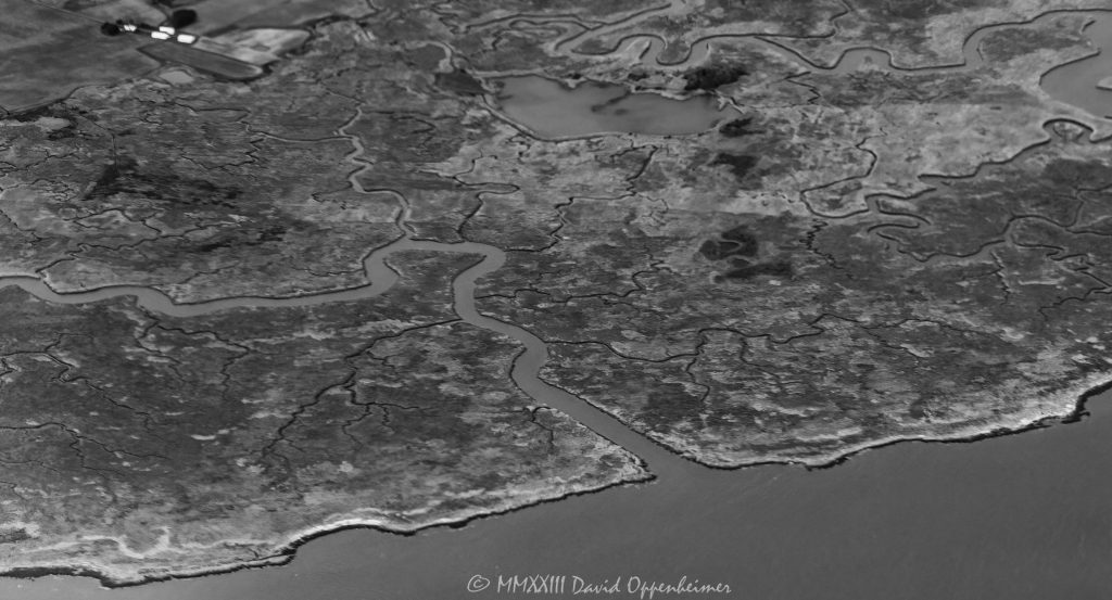 Cedar Swamp State Wildlife Management Area on the Delaware River Aerial View