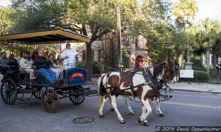 Charleston Horse Carriage Tour