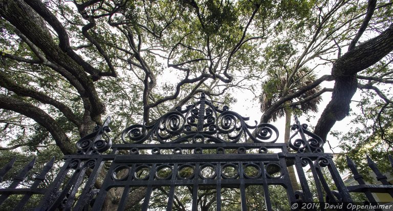 Charleston Park and Ironwork