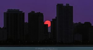 Chicago Sunset Between Gold Coast Towers Chicago sunset between Gold Coast lakefront towers, with a fire-orange sun partly obscured by a silhouetted building edge beneath a purple sky. A gull crosses the upper rim of the solar disc, and two small sunspots appear as the sun reaches the North Lake Shore Drive skyline in Chicago, Illinois – © 2026 David Oppenheimer – Performance Impressions photography archives https://performanceimpressions.com Chicago sunset, Gold Coast sunset, Chicago skyline, Chicago cityscape, Lake Shore Drive sunset, setting sun, low sun, orange sun, purple sky, sunset sky, sun, sunset, solar disc, sunspots, solar activity, gull, seagull, bird, bird silhouette, bird in flight, skyline silhouette, building silhouettes, silhouette, horizon, summer sunset, summer, golden hour, evening, 1300 Lake Shore Drive, 1300 N Lake Shore Drive, 1300 Lake Shore condos, 1212 Lake Shore Drive, 1212 N Lake Shore Drive, 1212 Lake Shore condos, 1240 Lake Shore Drive, 1240 N Lake Shore Drive, 1240 Lake Shore condos, 1242 Lake Shore Drive, 1242 N Lake Shore Drive, 1242 Lake Shore co-op, Gold Coast, Gold Coast Chicago, Gold Coast condos, Near North Side, North Lake Shore Drive, Lake Shore Drive, DuSable Lake Shore Drive, Lake Michigan, Chicago lakefront, Chicago waterfront, Chicago, Chicago Illinois, Chicago IL, Illinois, 60610, skyline, cityscape, landscape, city, urban, buildings, towers, lakefront towers, residential towers, high rise, skyscrapers, architecture, Chicago architecture, residential architecture, lakefront architecture, condominiums, condos, co-op, residential, housing, real estate, Chicago real estate, Gold Coast real estate, lakefront real estate, sunset photography, sun photography, skyline photography, cityscape photography, landscape photography, architectural photography, Chicago art, sunset art, skyline art, city art, artwork, photo art, wall art, United States, licensing, image licensing, commercial imagery, photography licensing, art, print, fine art, commercial photography, David Oppenheimer, horizontal, 1-15213827141