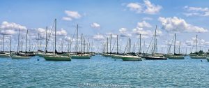Chicago Yacht Club and Sailboats on Monroe Harbor in Summer Chicago Yacht Club’s Monroe Station at 400 East Monroe Street overlooks sailboats moored across Monroe Harbor on Lake Michigan, viewed from the lakefront beside Grant Park on a clear summer day. The harbor and clubhouse form a defining sailing scene along the downtown waterfront in Chicago, Illinois – © 2026 David Oppenheimer – Performance Impressions photography archives https://performanceimpressions.com Chicago Yacht Club, Chicago Yacht Club Chicago, Chicago Yacht Club Monroe Station, CYC, Monroe Station, Monroe clubhouse, Chicago Yacht Club clubhouse, 400 East Monroe Street, 400 E Monroe Street, 400 E Monroe St, Monroe Harbor, Monroe Harbor Chicago, Chicago Monroe Harbor, Chicago sailing, Chicago sailboats, Chicago yacht club, Chicago yachting, Chicago boating, sailing, sailboats, sailboat, moored sailboats, moored boats, sailboat mooring, mooring field, moorings, mooring cans, yachts, yacht, yachting, yacht club, sailing club, clubhouse, boating, boats, recreational boating, pleasure boats, sailing boats, Lake Michigan sailing, Lake Michigan boating, Great Lakes sailing, Great Lakes boating, Lake Michigan, Great Lakes, Chicago lakefront, Chicago waterfront, lakefront, waterfront, harbor, harbor view, harbor scene, sailing harbor, boating harbor, downtown harbor, shoreline, lakeshore, lake view, water, Grant Park, Grant Park Chicago, Lakefront Park, Chicago Lakefront Park, Lakefront Trail, Monroe Street, Chicago Loop, Loop, downtown Chicago, Chicago, Chicago Illinois, Chicago IL, Illinois, 60603, summer, summertime, summer day, Chicago summer, summer sailing, blue sky, puffy clouds, white clouds, fair weather, clear day, calm water, scenic waterfront, scenic harbor, waterfront recreation, lakefront recreation, outdoor recreation, maritime, nautical, marine, boating lifestyle, sailing lifestyle, sailing culture, sailboat racing, yacht racing, regatta, regattas, Chicago regatta, Race to Mackinac, Mackinac Race, Chicago Yacht Club Race to Mackinac, offshore sailing, sailing competition, Chicago Harbors, Chicago Park District, Westrec, Westrec Marina Management, harbor system, urban waterfront, urban lakefront, waterfront photography, sailing photography, sailboat photography, yacht photography, harbor photography, maritime photography, nautical photography, landscape photography, Chicago photography, Chicago art, lakefront art, sailing art, sailboat art, yacht art, fine art photography, photographic print, fine art print, wall art, United States, licensing, image licensing, commercial imagery, photography licensing, art, print, fine art, commercial photography, David Oppenheimer, horizontal, 1-15213827141