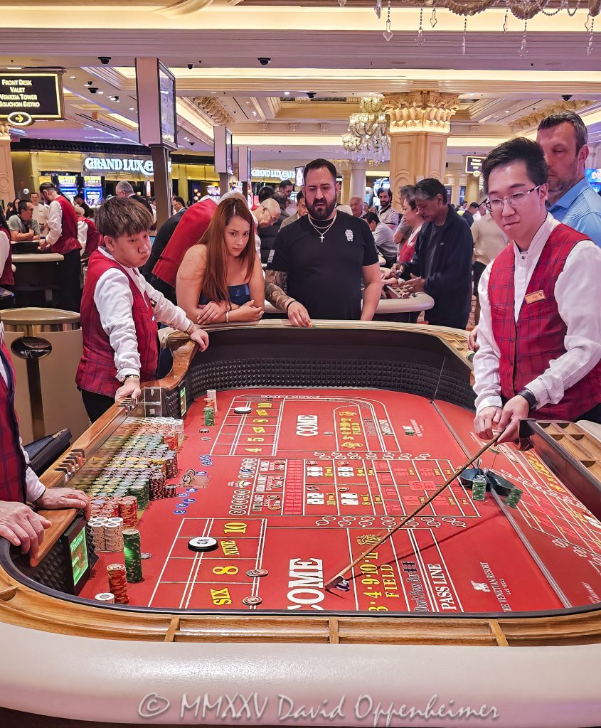Craps Table Gambling at The Venetian Casino in Las Vegas Craps table gambling at The Venetian casino in Las Vegas, Nevada - © 2025 David Oppenheimer - Performance Impressions travel photography archives - https://performanceimpressions.com The Venetian, casino, Las Vegas, craps, craps table, dice, chips, casino chips, money, roll of the dice, roll the dice, dice game, roll, table, gaming, play, Nevada, odds, win, gambling, wager, bet, luck, gamble, resort, 3355 S Las Vegas Blvd, 89109, United States, vertical, color, 1-14977862771