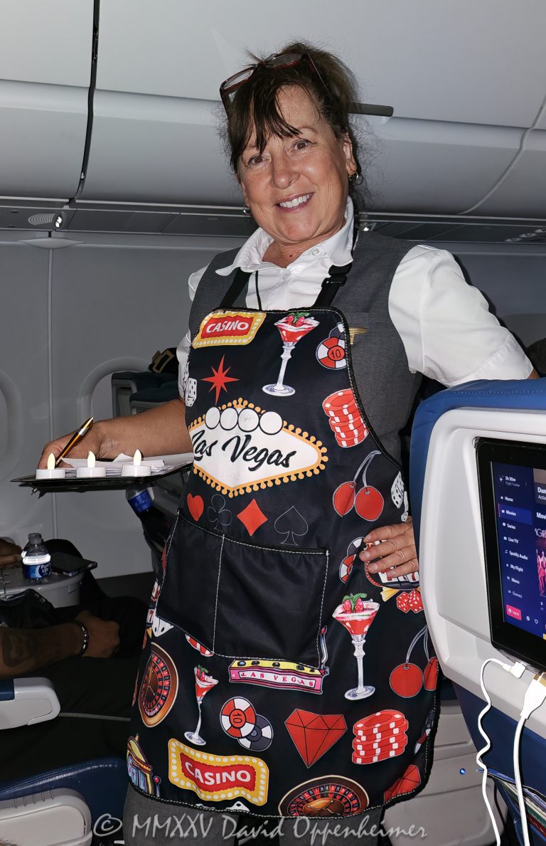 Delta Air Lines flight attendant on Las Vegas route - © 2025 David Oppenheimer - Performance Impressions aviation photography archives - https://performanceimpressions.com Delta Air Lines, Delta flight attendant, flight attendant, stewardess, Las Vegas, smock, apron, service, first class, uniform, route, travel, vacation, flight, cabin, casino, gamble, wager, bet, gambling, SkyTeam, aviation, Delta SkyTeam, Delta Air Lines Las Vegas, Nevada, DAL, DAL stock, United States, horizontal, color, 1-14977862771
