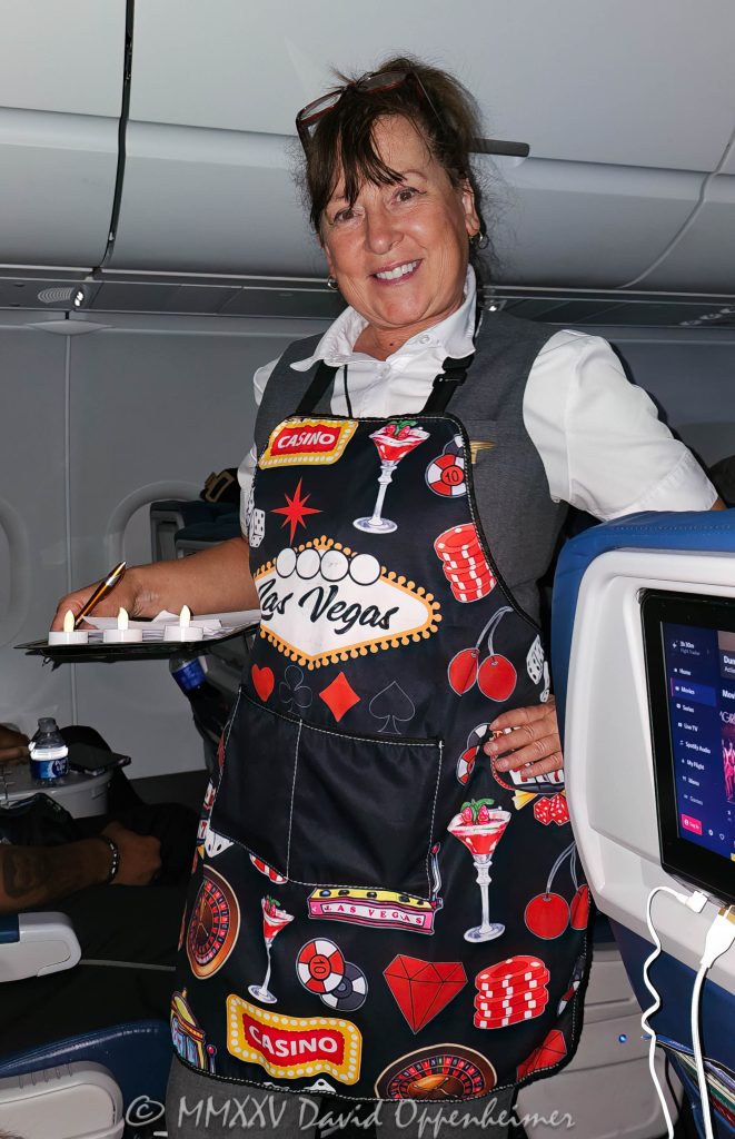 Delta Air Lines Flight Attendant on Las Vegas Route