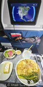 Delta Air Lines first class meal on ATL to Las Vegas route - © 2025 David Oppenheimer - Performance Impressions aviation photography archives - https://performanceimpressions.com Delta Air Lines, Delta, first class meal, meal, first class, salad, drink, banana pudding, pasta, peas, flight, screen, food, plane food, dining, destination, Vegas, Las Vegas, service, route, travel, vacation, flight, cabin, SkyTeam, aviation, Delta SkyTeam, ATL, Delta Air Lines Las Vegas, Nevada, DAL, DAL stock, United States, vertical, color, 1-14993092111