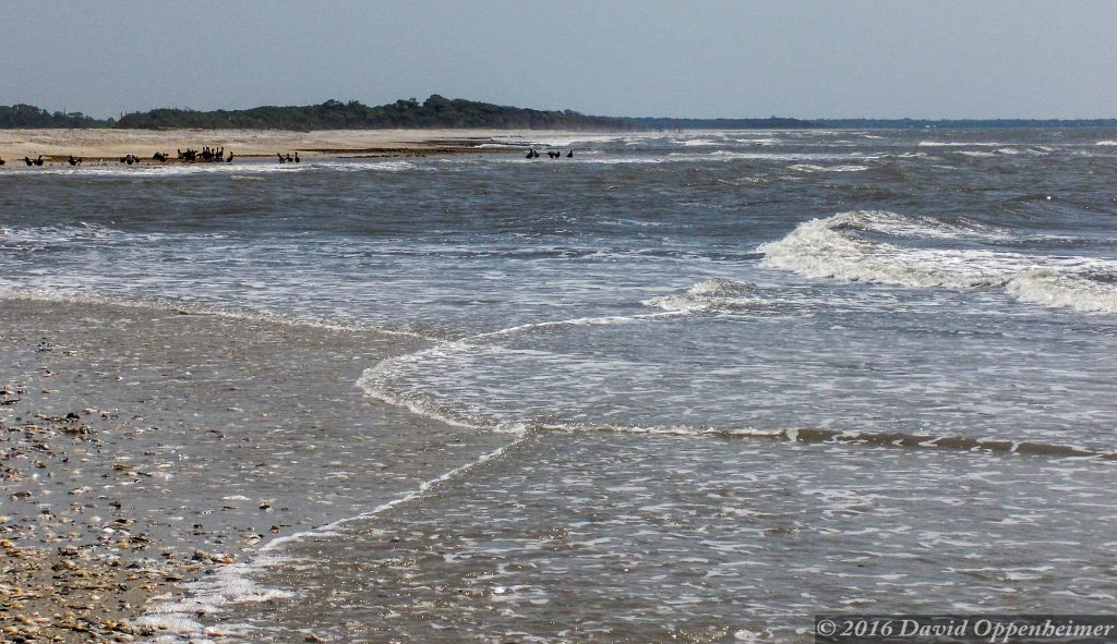 Edisto Island, South Carolina