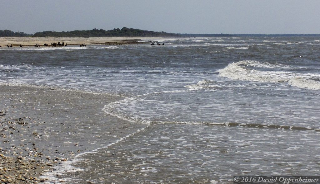 Edisto Island Beach Vacation