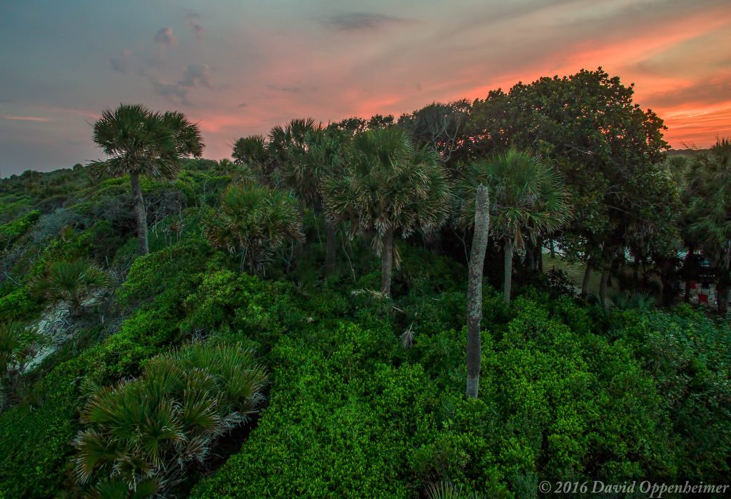 Edisto Beach State Park