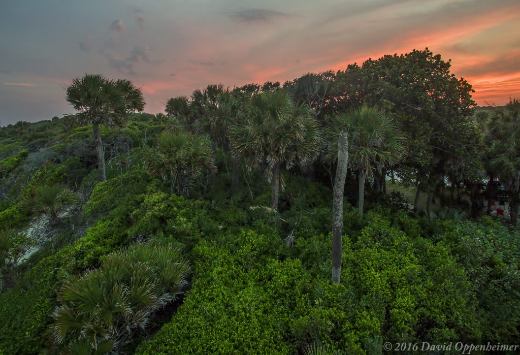 Edisto Beach State Park Aerial Photo on Edisto Island