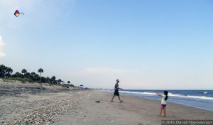 Edisto Beach State Park on Edisto Island Edisto Beach State Park kite flying 177 2
