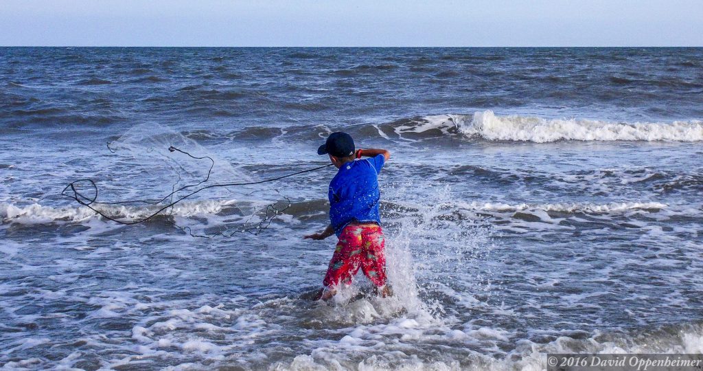 Edisto Beach State Park on Edisto Island