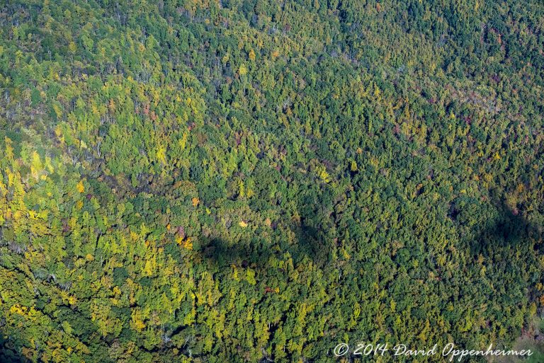 Fall Color Aerial Photo Blue Ridge Mountains