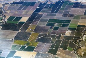 Farmland in San Joaquin County, California aerial view - © 2024 David Oppenheimer - Performance Impressions aerial photography archives - https://performanceimpressions.com farmland, farms, farmland aerial, farming, agriculture, agribusiness, crops, pastures, grid, squares, rectangles, fields, farmers, cultivation, irrigation, Central Valley, The Central Valley, Central Valley aerial, delta, river delta, San Joaquin County, San Joaquin, water, water supply, color, real estate, aerial, aerial view, aerial photography, aerial photographer, David Oppenheimer, United States, 1-13985601741,