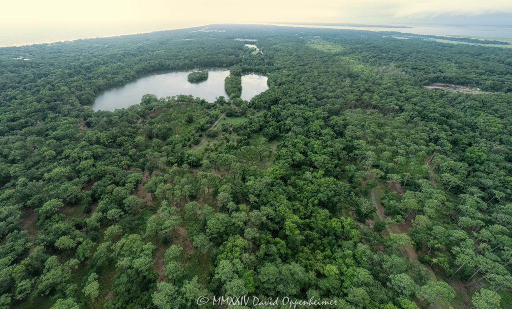 Fish Island Sea Pines Forest Preserve on Hilton Head Island Aerial View