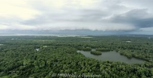 Fish Island Sea Pines Forest Preserve with Lake Mary, Rookery Island, Rookery Point, and Fisherman’s Point on Hilton Head Island in South Carolina with a shelf cloud storm on the horizon aerial view - © 2024 David Oppenheimer - Performance Impressions aerial photography archives - https://performanceimpressions.com Fish Island Sea Pines Forest Preserve, Sea Pines Forest Preserve, Sea Pines Plantation, Sea Pines Plantation aerial, Fish Island Sea Pines Forest Preserve aerial, Fish Island Hilton Head, Hilton Head Island, forest, coastal forest, preserve, Lake Mary, lake, Rookery Island, Rookery Point, Fisherman’s Point, ante-bellum, ante-bellum rice dikes, forest preserve, Sea Pines, swamp, trees, Vanishing Swamp, White Ibis Swamp, ecosystem, Lake Joe, Fish Island, habitat, wildlife habitat, ecology, nature, wetlands, fresh water, coastal, Indian Shell Ring, Rice Field Boardwalk, 29928, real estate, Hilton Head aerial, Hilton Head Island aerial, storm, weather, shelf cloud, cloud, clouds, storm, storm clouds, front, thunderclouds, thunderstorm, nephology, weather front, meteorology, community, aerial photographer, aerial photography, landscape, panorama, naturescape, aerial view, aerial, David Oppenheimer, David Gordon Oppenheimer, United States, color, horizontal, landscape, 1-13726821381