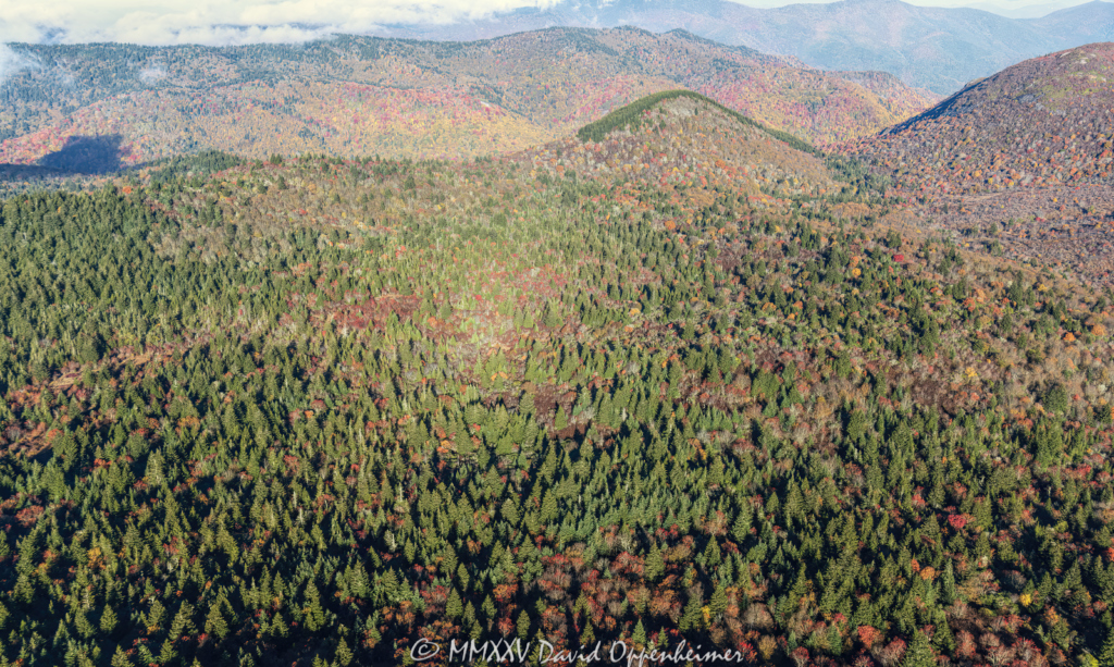 Flat Laurel Creek and Little Sams Knob in Pisgah National Forest Aerial View
