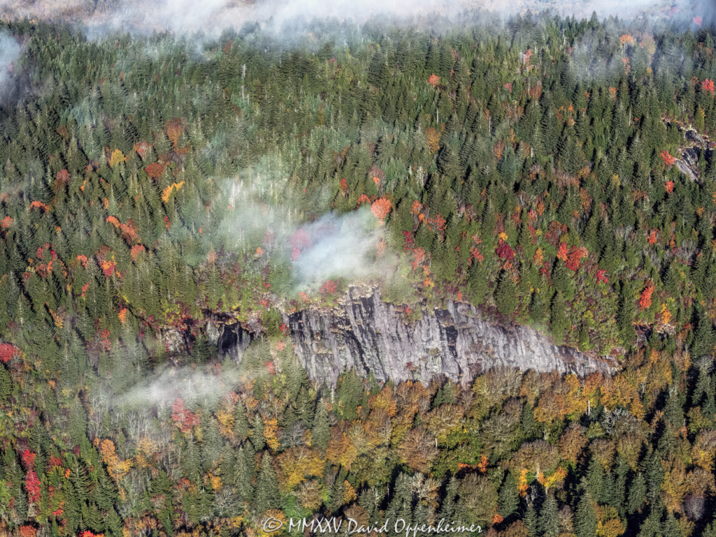 Fork Ridge in Middle Prong Wilderness Section of Pisgah National Forest Aerial View