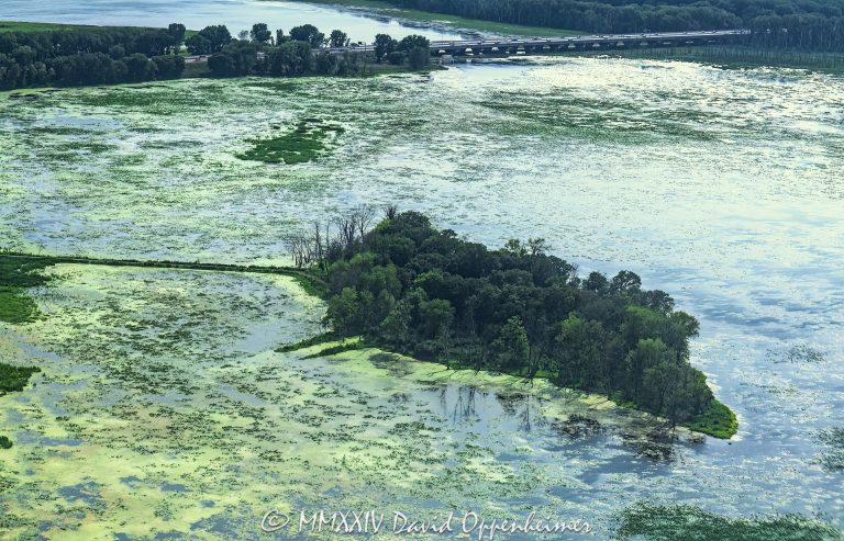 Fort Snelling State Park and Quarry Island on the Minnesota River in Mendota Heights, Minnesota aerial view - © 2024 David Oppenheimer - Performance Impressions aerial photography archives - https://performanceimpressions.com Fort Snelling State Park, Fort Snelling State Park aerial, Quarry Island, Quarry Island aerial, Minnesota River, river, marsh, wetlands, park, state park, Minnesota, nature, water, Minneapolis, Mendota Heights, 55120, aerial, aerial view, aerial photography, aerial photographer, David Oppenheimer, color, horizontal, United States, 1-13985601741,