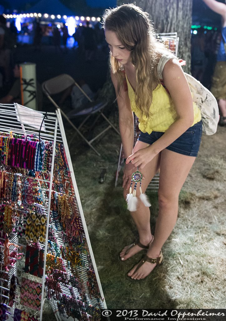 Bonnaroo Crowd Photos