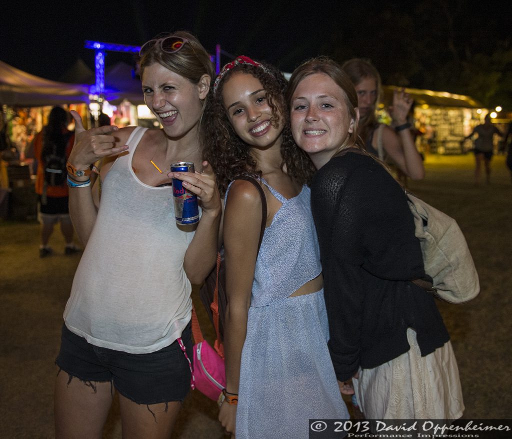 Bonnaroo Crowd Photos